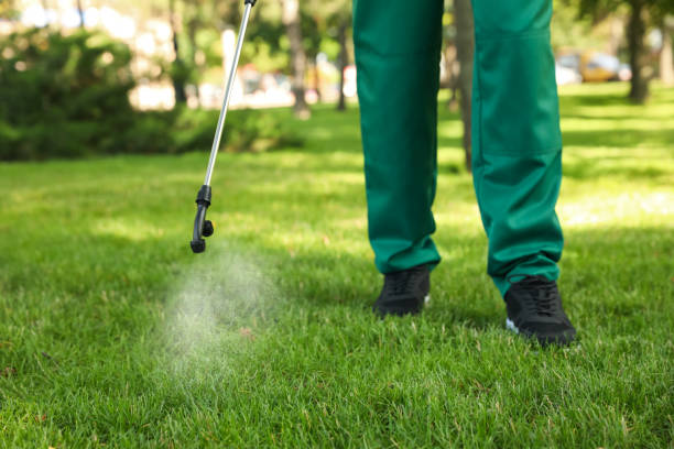 Best Flea Control Services  in Flossmoor, IL