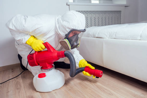 Best Affordable Pest Control Services  in Flossmoor, IL