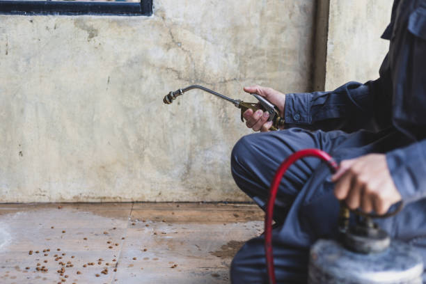 Best Pest Removal Services  in Flossmoor, IL